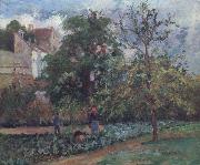 Camille Pissarro The orchard at Maubuissson,Pontoise Le verger a Maubuisson,Pontoise oil on canvas